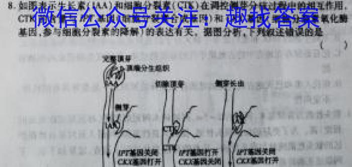衡中文化2023年衡水新坐标·信息卷(二)生物