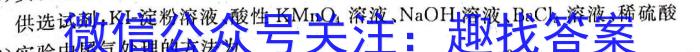 2023届九师联盟高三年级3月质量检测（新高考-G）化学