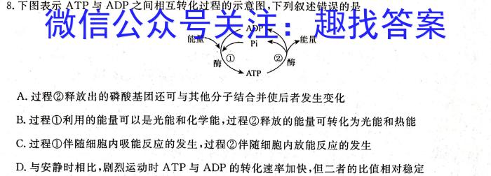 2023年陕西省初中学业水平考试全真预测试卷A版（二）生物