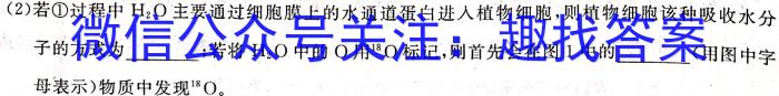 2023年湖南省普通高中学业水平合格性考试仿真试卷(专家版二)生物