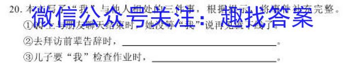 河南省2022-2023学年中原名校中考联盟测评（二）语文