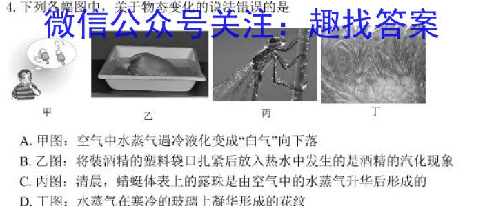 2023年普通高等学校招生全国统一考试冲刺预测·金卷(五)l物理