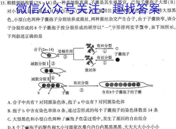 2023年湖北省新高考信息卷(二)生物