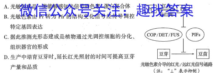 2023年河北省新高考模拟卷（五）生物