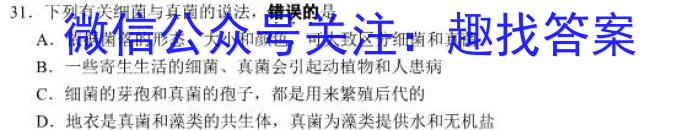 2023年陕西省普通高中学业水平考试全真模拟(四)s地理