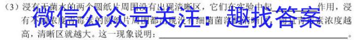 2023年湖北省新高考信息卷(四)s地理