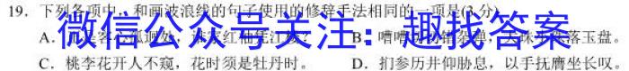 ［甘肃二模］2023年甘肃省第二次高考诊断考试（甘肃二诊）语文