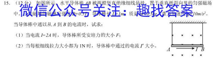 安徽省2022-2023学年九年级下学期期中教学质量调研物理`