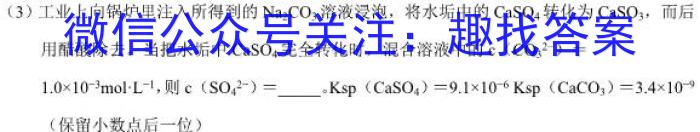 2023年陕西省初中学业水平考试全真模拟试题A版化学