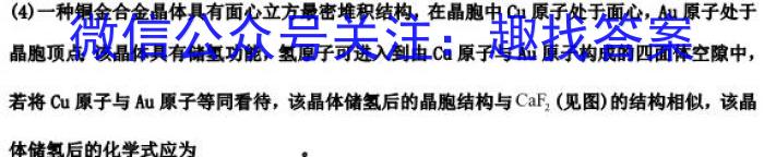 ［二轮］2023年名校之约·中考导向总复习模拟样卷（六）化学