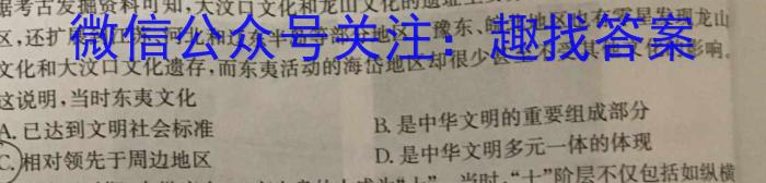 陕西省九年级联盟卷(23-CZ118c)历史