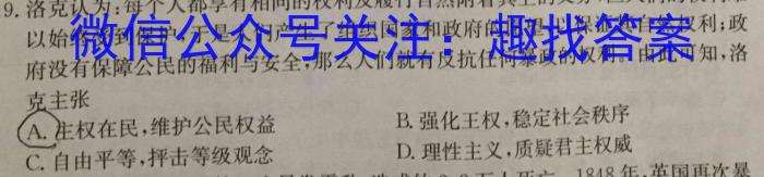 安徽省淮南市2023届九年级3月考试历史
