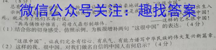 佩佩教育·2023年普通高校统一招生考试 湖南四大名校名师团队模拟冲刺卷(2)s地理