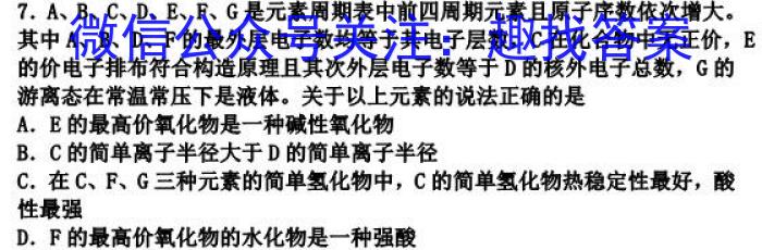 2023年高二年级九师联盟湖北省期中考试化学