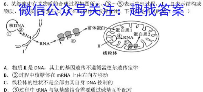 安徽省2022-2023学年度九年级阶段诊断【R- PGZX F- AH（六）】生物试卷答案