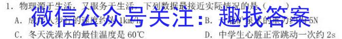 2023年辽宁大联考高三年级4月联考（478C·LN）物理.