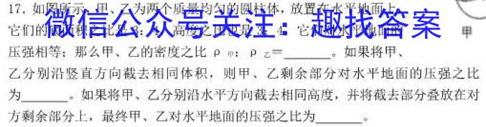 2023年万友中考模拟卷（八）l物理
