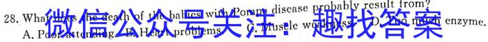 河北省2023届高三学生全过程纵向评价(三)英语