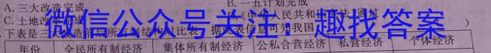 安徽省颍上县2023届九年级教学质量检测历史