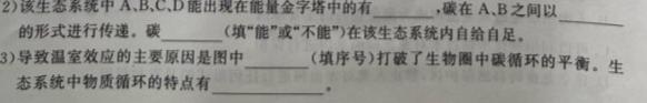 2023年普通高等学校招生全国统一考试标准样卷(四)生物