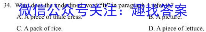 天一大联考·三晋名校联盟 2024-2023学年高中毕业班阶段性测试(七)英语