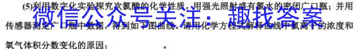 中考模拟系列2023年河北省中考适应性模拟检测(强化二)化学