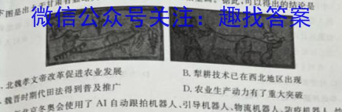 2023年山西省初中学业水平测试信息卷（三）历史