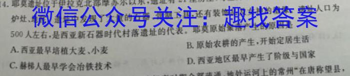 安师联盟2023年中考权威预测模拟考试（九）&政治