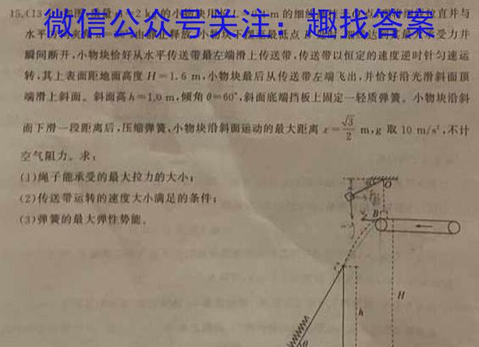 2023年湖北省新高考信息卷(四)q物理
