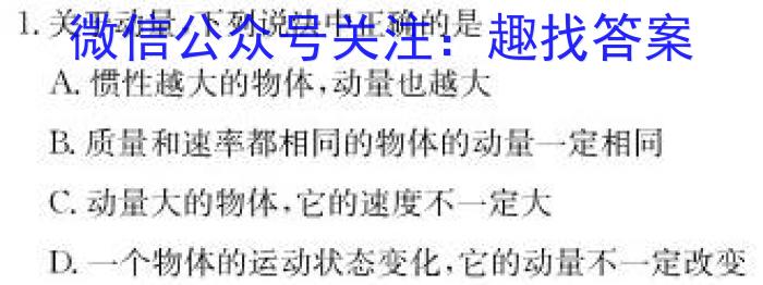 衡中文化2023年衡水新坐标·信息卷(六)物理.