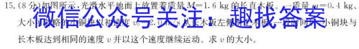 2022-2023学年安徽省七年级下学期阶段性质量监测（六）物理`