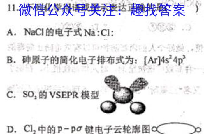 2023年陕西省初中学业水平考试全真预测试卷A版化学