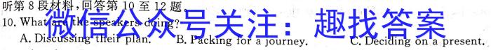 陕西省2023届九年级模拟检测卷(23-CZ135c)英语