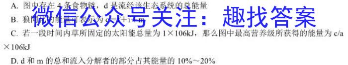 衡中文化2023年衡水新坐标·信息卷(六)生物