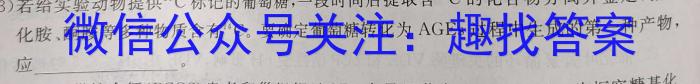 2023年普通高等学校全国统一模拟招生考试 高三新未来4月联考生物试卷答案