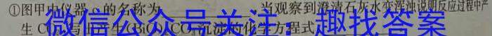 江西省2023年学科核心素养·总复习(六)化学