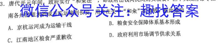 江西省2023年学科核心素养·总复习(八)历史