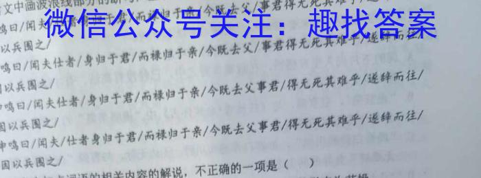 2023年全国高考猜题信息卷(二)语文