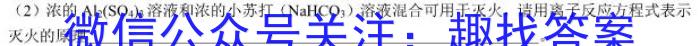 2023年万友中考模拟卷（二）化学