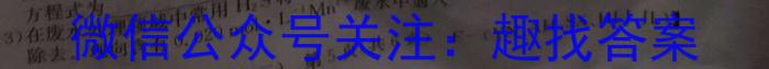 中考仿真卷2023年山西省初中学业水平考试(五)化学