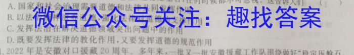 学科网2023届高三4月大联考（新教材）政治试卷d答案
