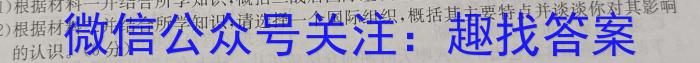 江西省2023届九年级中考模拟卷（二）历史