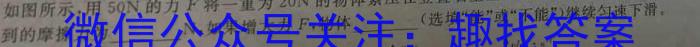 [启光教育]2023年河北省初中毕业生升学文化课模拟考试(一).物理