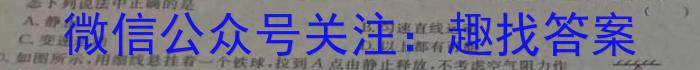 2023届名校之约·中考导向总复习模拟样卷 二轮(六)q物理
