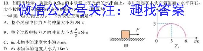 2023年普通高等学校招生全国统一考试信息模拟测试卷(新高考)(一)l物理