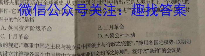 2023年湖北省新高考信息卷(五)历史