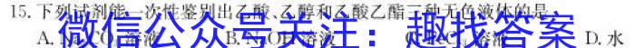 2023年普通高等学校招生全国统一考试信息模拟测试卷(新高考)(一)化学