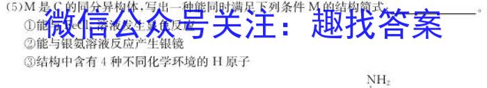 2023年湖南省普通高中学业水平合格性考试仿真试卷(专家版一)化学