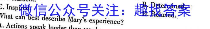 衡水名师卷 2023年辽宁名校联盟·信息卷(四)英语