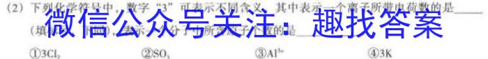 2023年河北省新高考模拟卷（二）化学